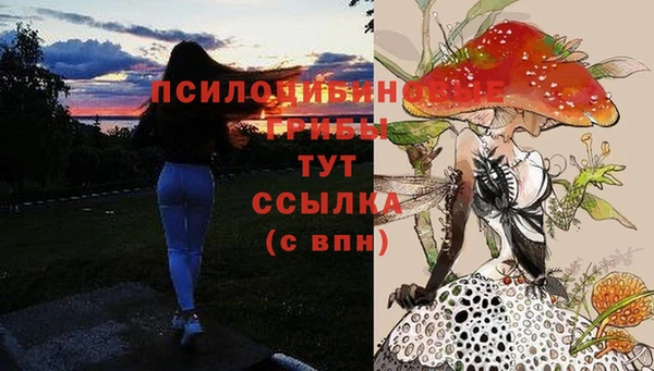 дистиллят марихуана Магас