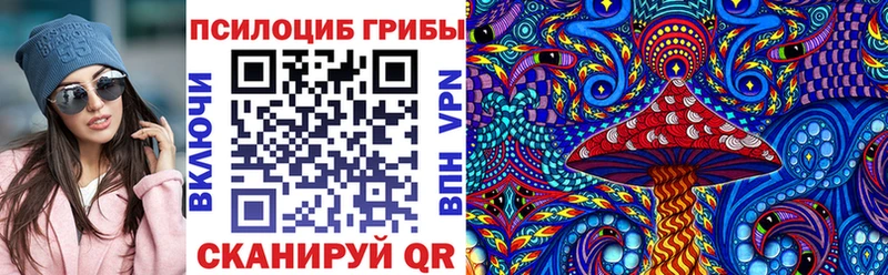 Купить где  Благовещенск  Галлюциногенные грибы Psilocybe 